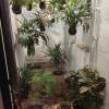 Patio interior con kokedamas colgantes