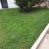 mantenimiento de jardin