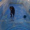 Limpieza de piscina