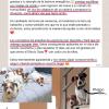 Testimonio Ruth Corbellas