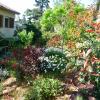 El Jardinero Escocés