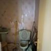Antes 