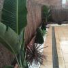 Diseño jardines