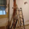 Reformas Roma