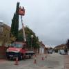Poda en altura