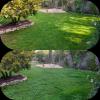 Arce  Jardinería Y Paisajismo