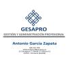 Gesapro