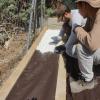 Jardines sostenibles