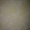 Paint Decor Art