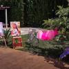 Pepe Talens  Lency Creaciones