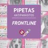 Pipetas FRONTLINE