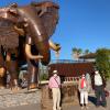 Con mis mayores de paseo en el bioparc