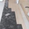 Vindecoreforma