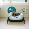 Vive Pet Resort Las Rozas - Residencia canina