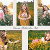 Carmen Photovideo Art