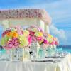 Alis Eventos Y Proyectos