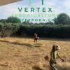 Vertex Arboricultura