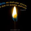 Yolanda