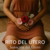 Docente En Reiki Y Registros Akáshicos  Especialista En Pnl Y Desarrollo Interior.