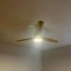 Ventilador de techo