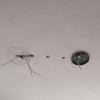 Preinstalacion Ventilador Techo