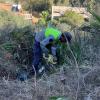 Jardinería limpieza de parcela