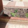 Jardinlandia