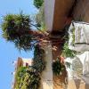 Jardinlandia