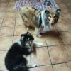 ARWEN I IONA