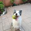 Mari Mar Canguro Canino