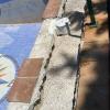 Nery Carlos Multiservicios