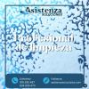 Asistenza Soluciones