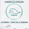 Quindivet
