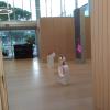 Montse