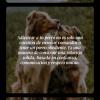 Truco360