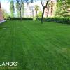Instalación de césped natural