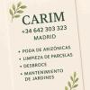 Carim