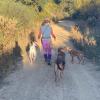 Paseador