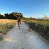 Paseador