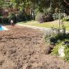 Preparación para la siembra del césped. Y arreglar sistema de riego. 1