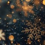 Lorena Fernández Torelló