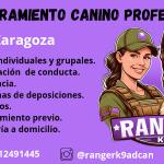 Adiestramiento Canino