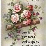 May Olea