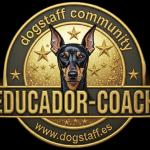 Jose Con Implicación Harás Feliz A Tú Perro.