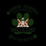 Amigos De Rumba