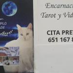 Encarni Encarni