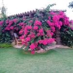 Hm Jardinería Jairo Pérez