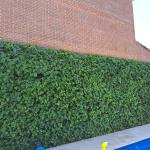 Fernando Mariano Mancha