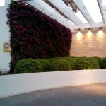 Construcciones Y Reformas    Adoman