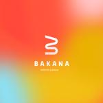 Bakana Reformas Y Pintura